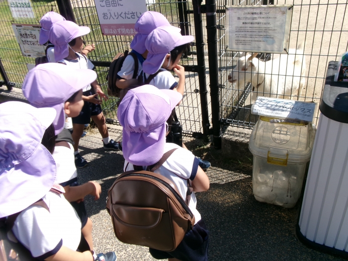 ヤギさん☆ちょっとこわいかも、、、